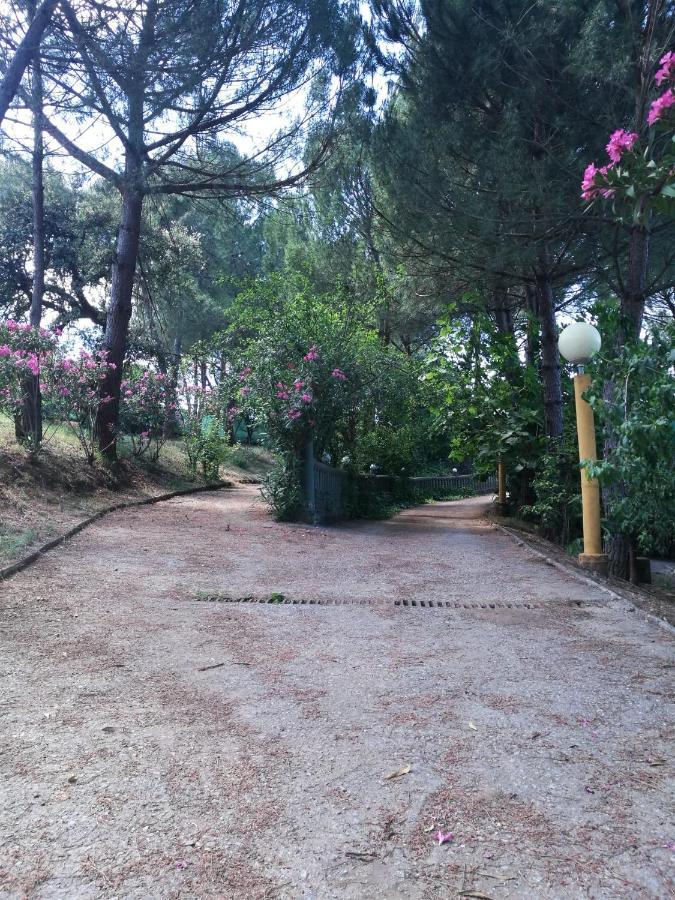 Finca Rural Labriega Del Hueznar Касала де ла Сиера Екстериор снимка