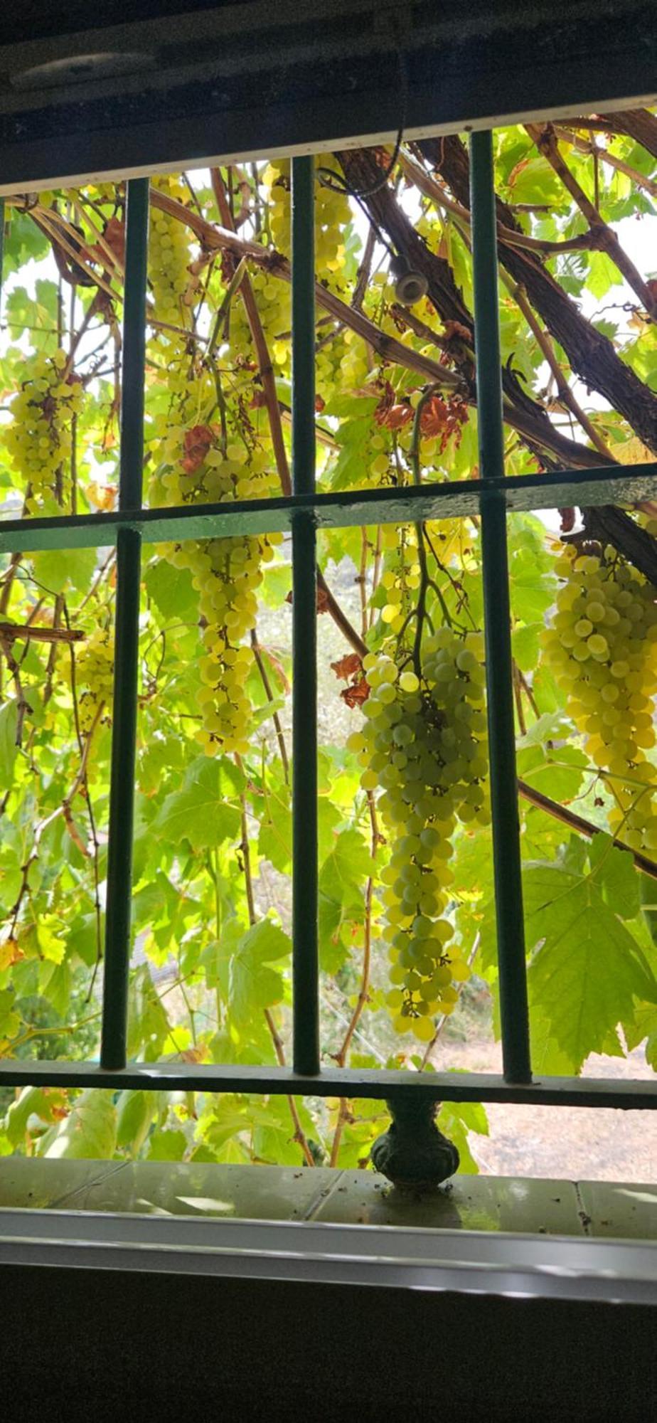 Finca Rural Labriega Del Hueznar Касала де ла Сиера Екстериор снимка